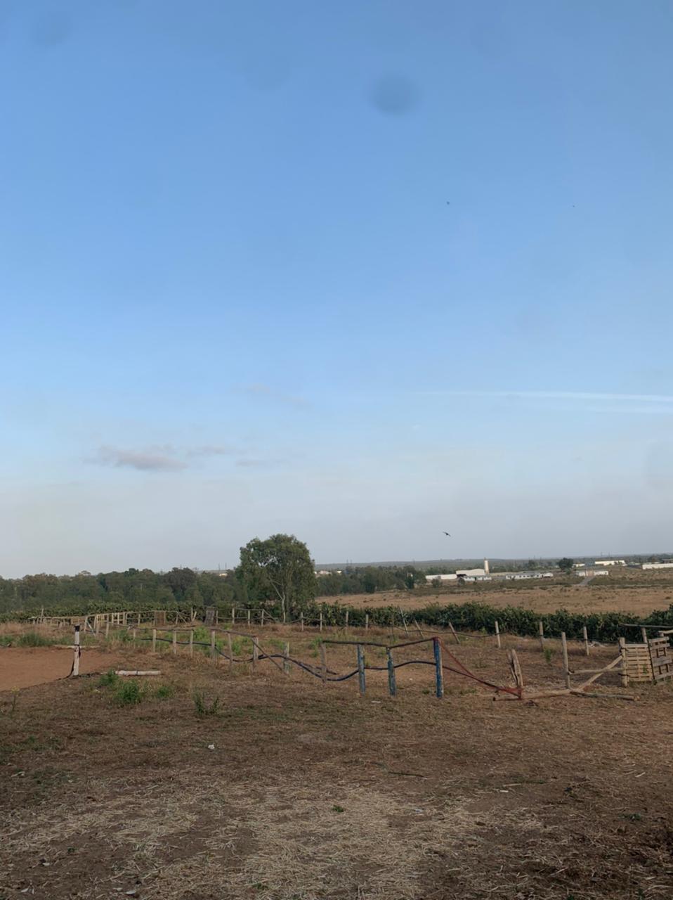 Club La Colline — photo 2