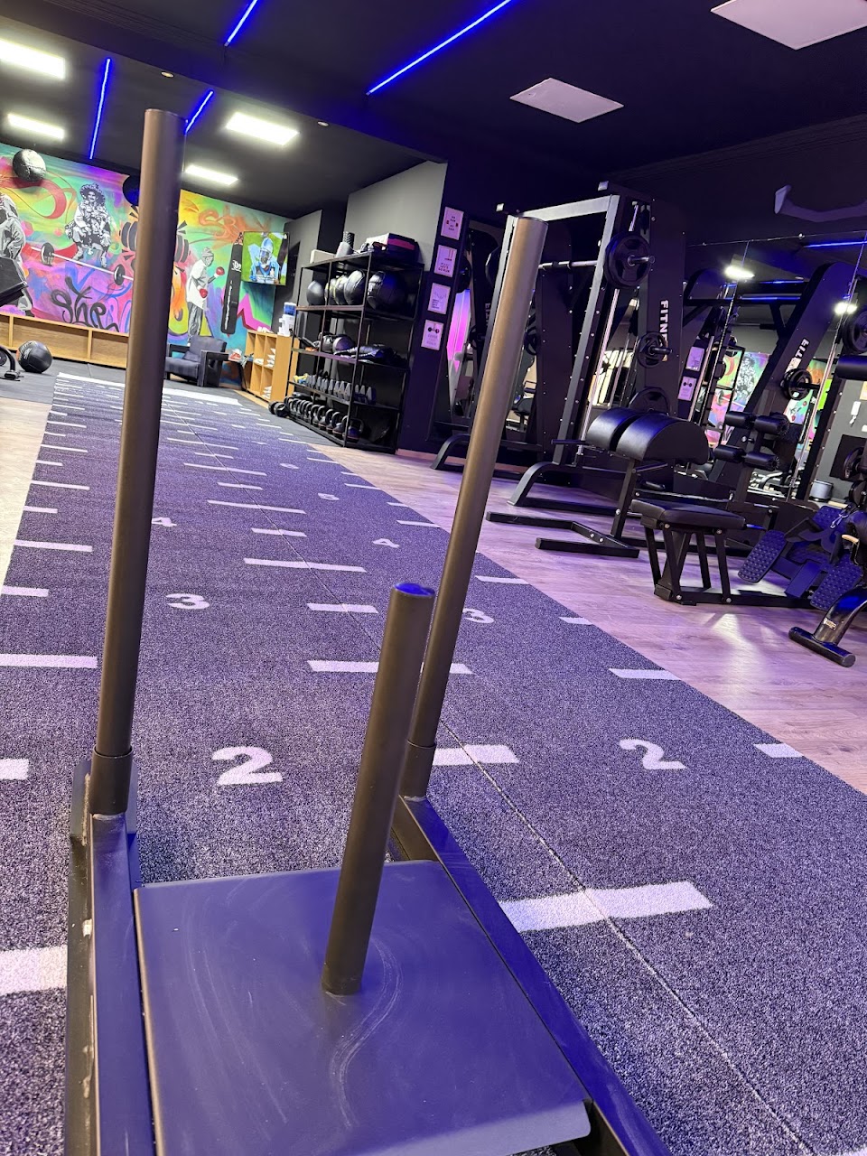 GAINZ EXPRESS — photo 4