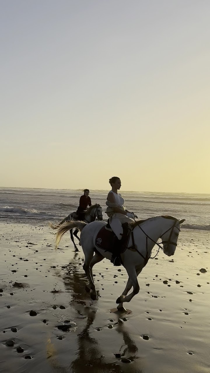 Horse4ever.essaouira — photo 2