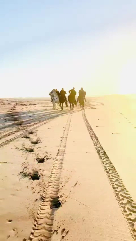 Férem pour dés balade cheval — photo 4