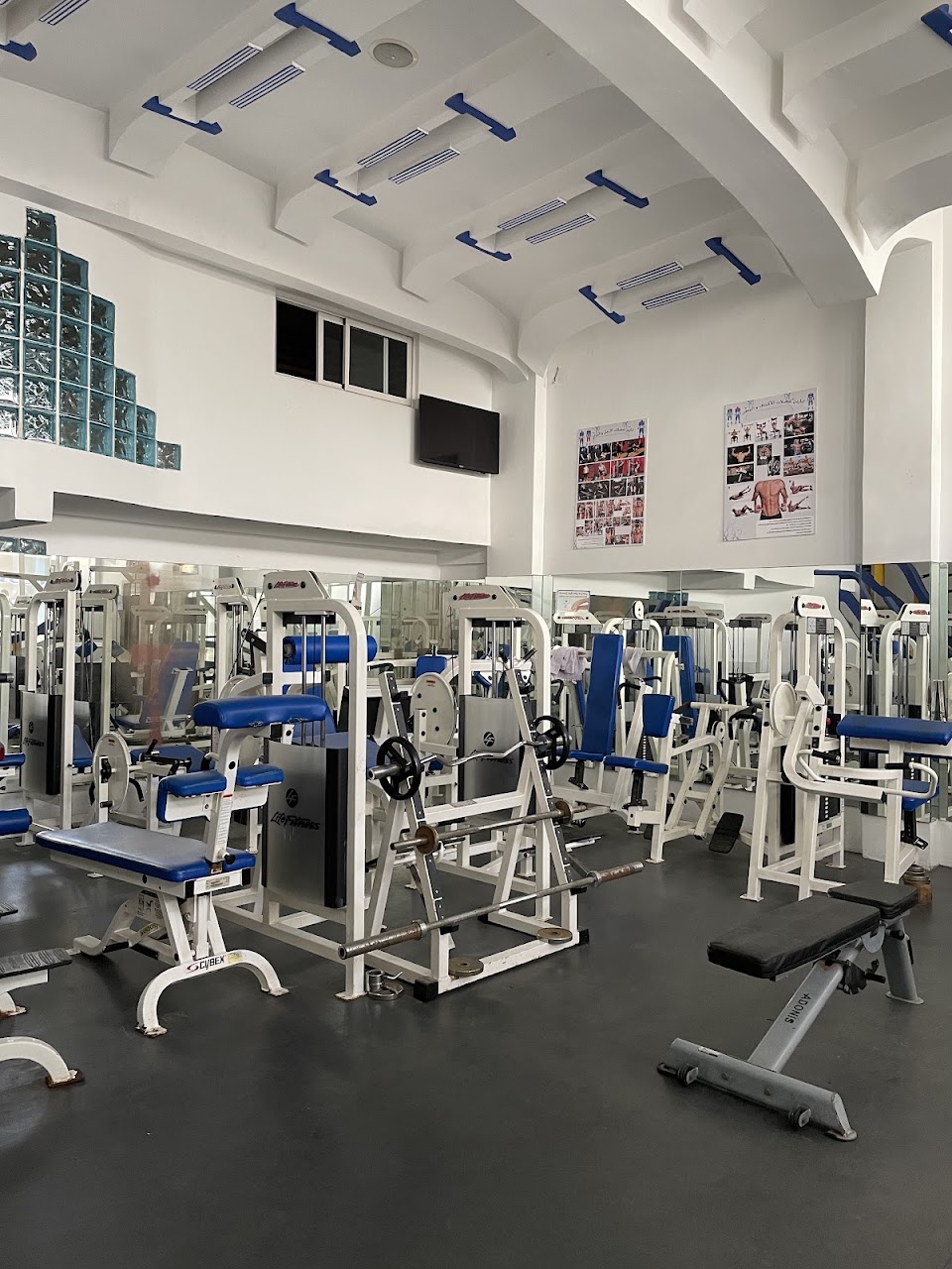 Fine Fitness — photo 2