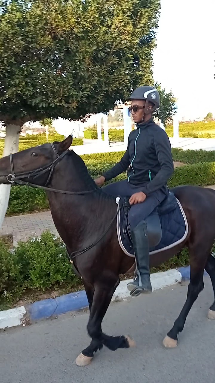 Planet Horse Chichaoua — photo 2