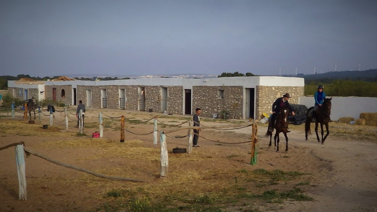 Horse Riding 🏇 🐎🐎🐎🐎🐎🐎 — photo 4