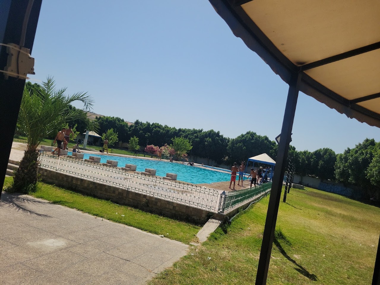المسبح البلدي — photo 3