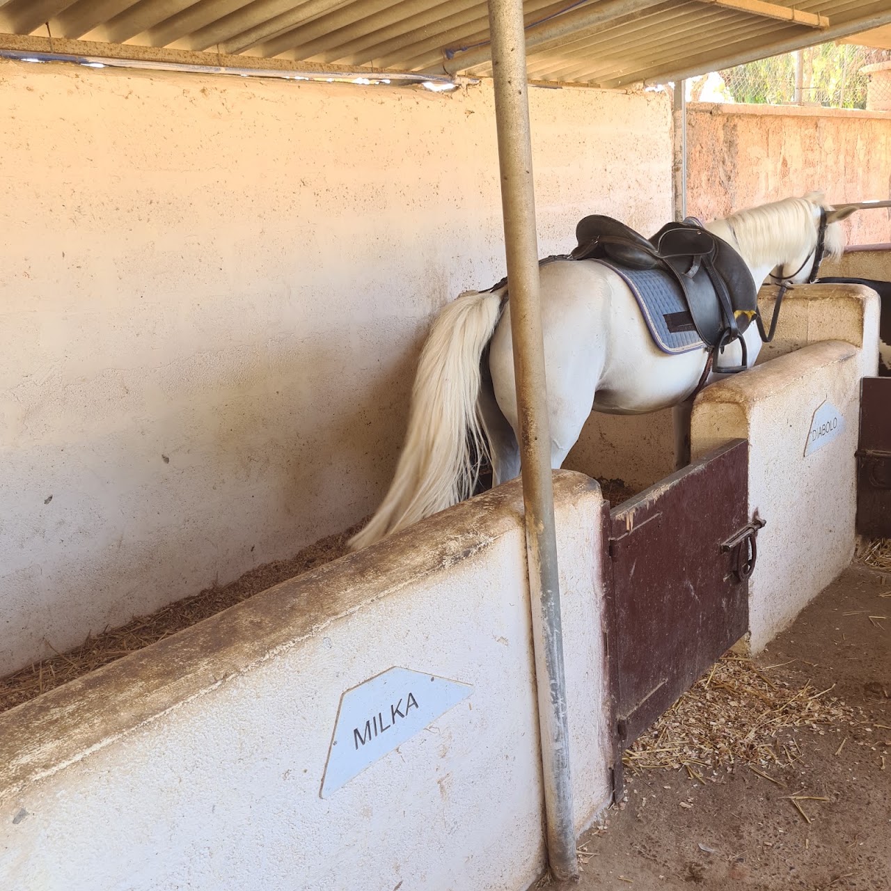 Argana terre de cheval — photo 4