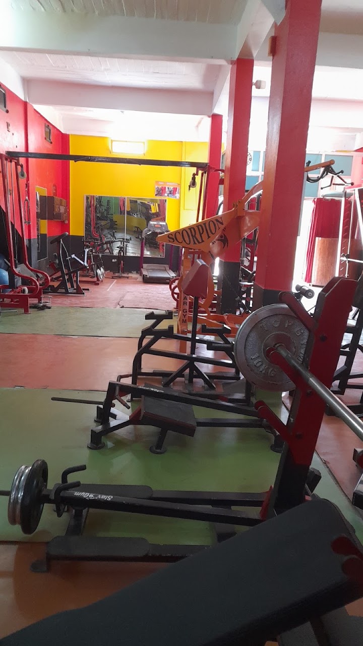 Star Gym — photo 3