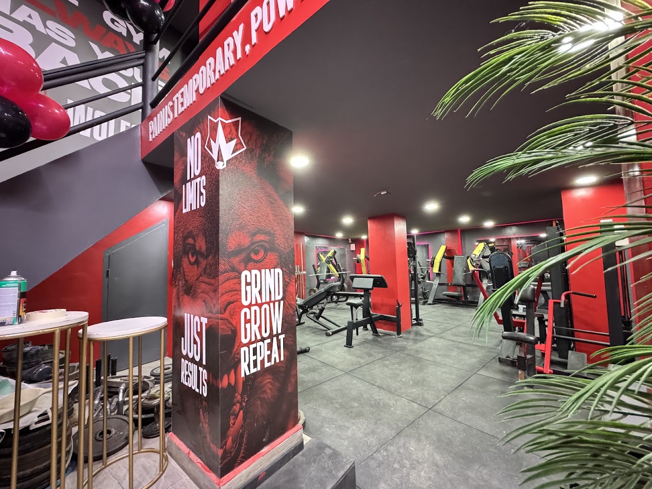 Association Sportive Wolf Gym — photo 2