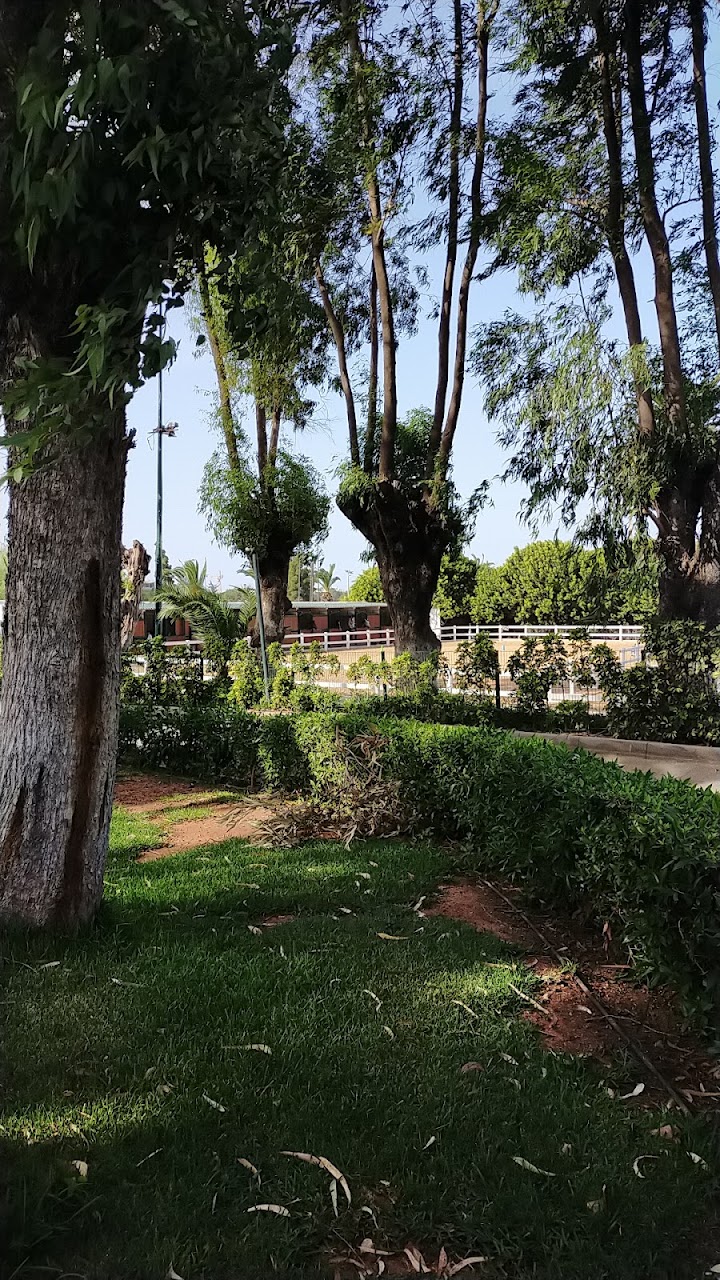 L'etrier De Casablanca — photo 2