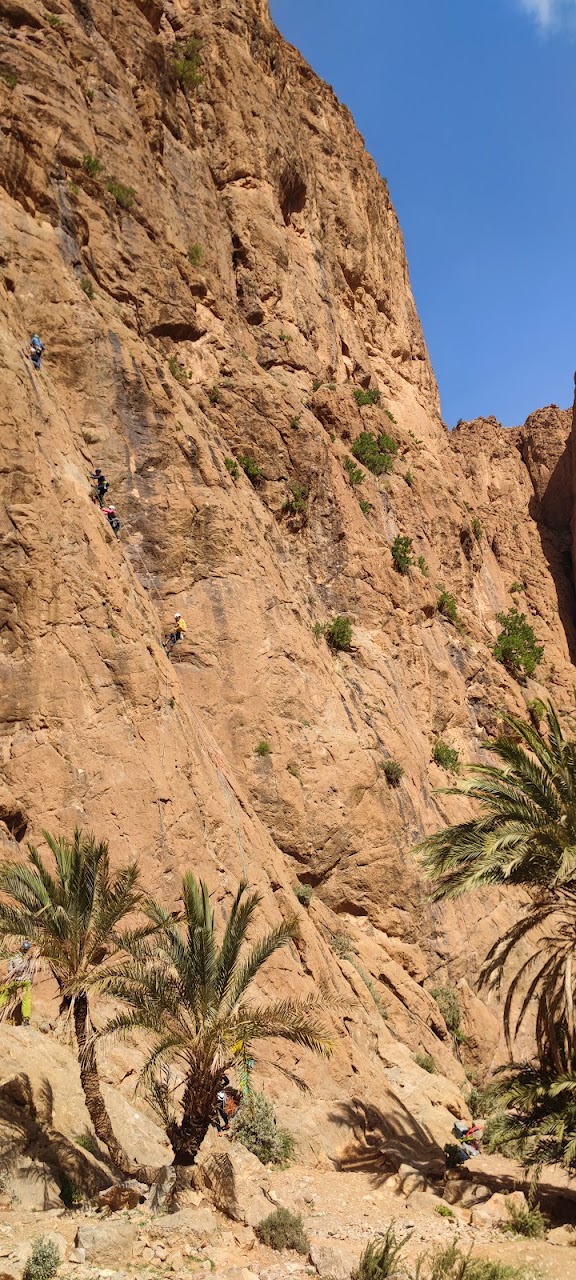 Alex Todra Climbing