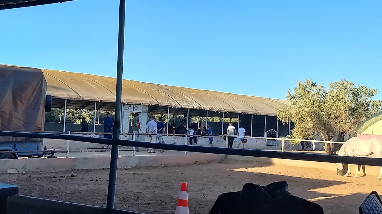 Club Equestre Nador — photo 4