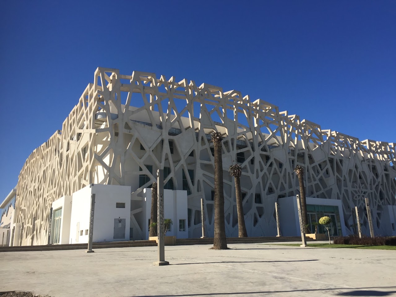 Olympic pool — photo 3