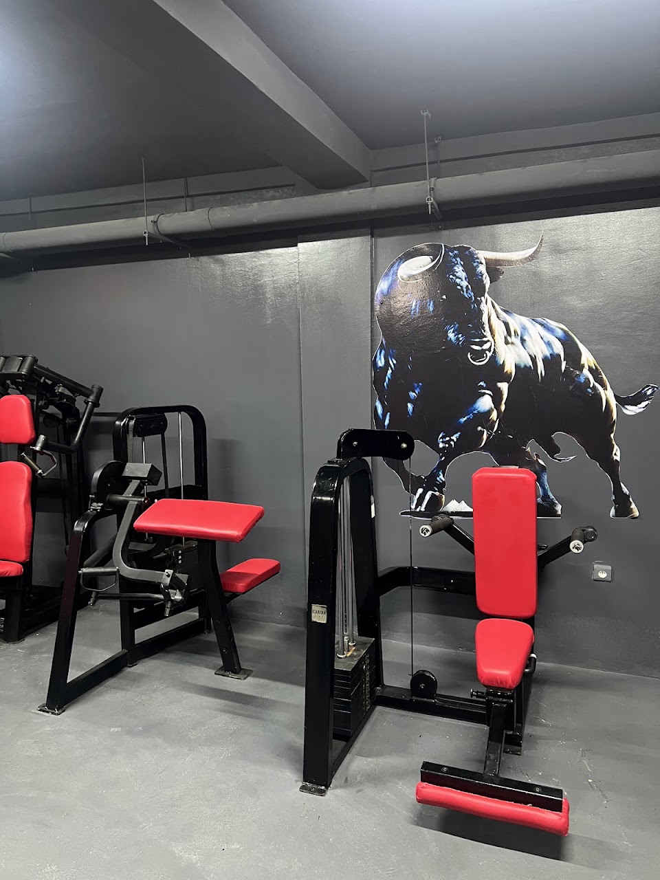 Strong Bull Gym — photo 4