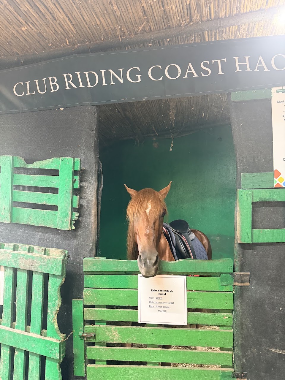 Club équestre Riding Coast du Haouzia — photo 3