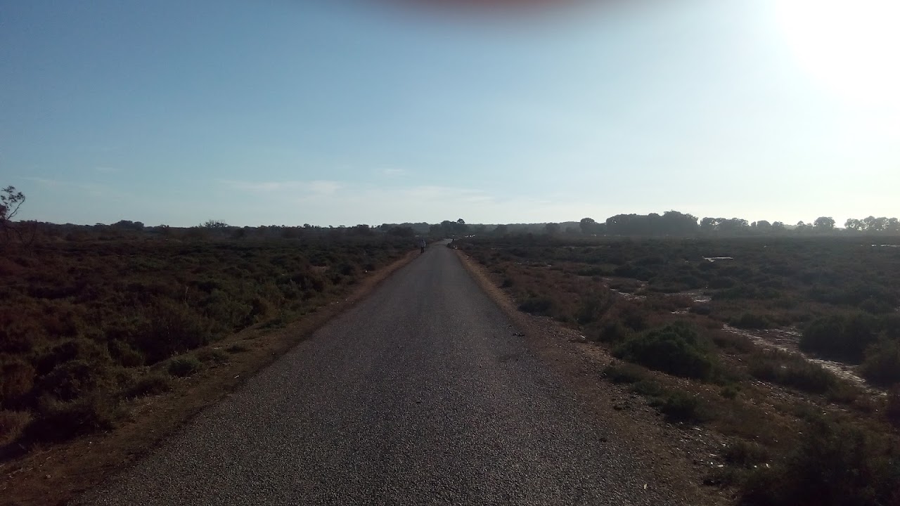 Running Course , Ouad Souss — photo 4