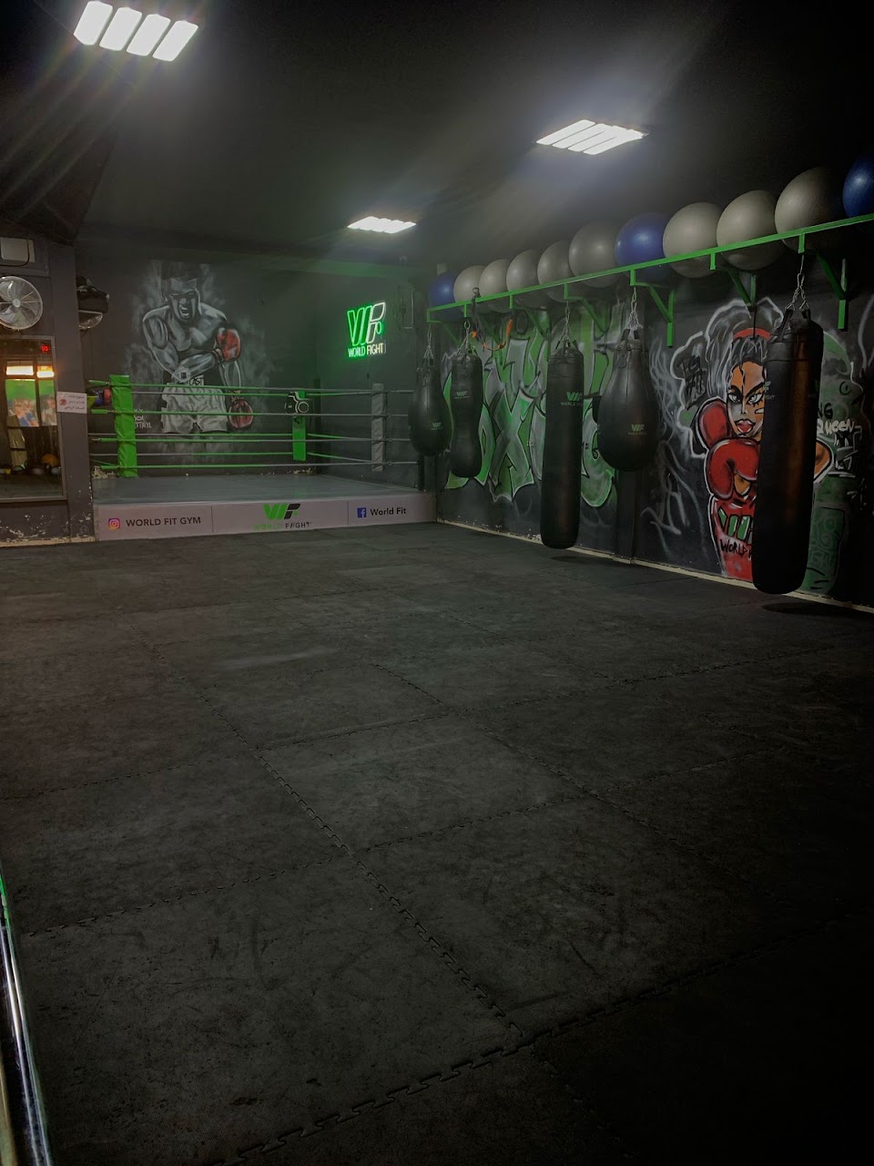 World fight gym — photo 4