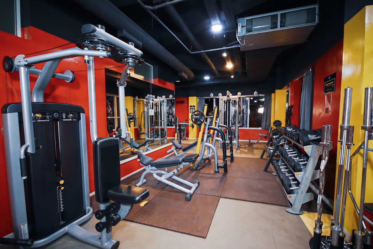 MSH Club Fitness, Piscine & Hammam Turc — photo 4