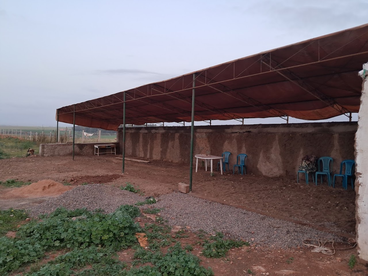 Derby Marrakech — photo 4