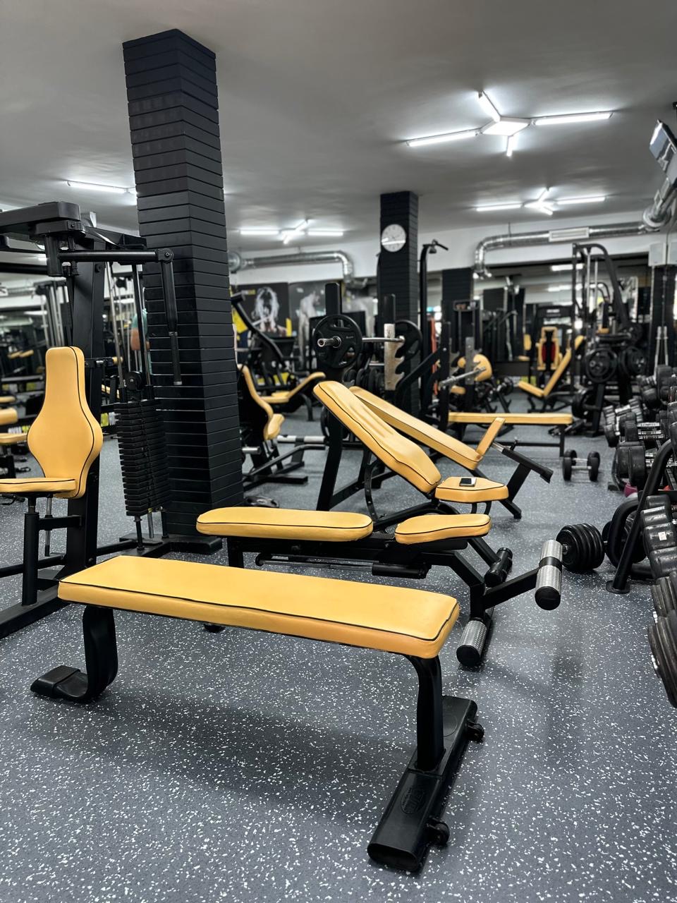 Gym zaid fitness martil — photo 3