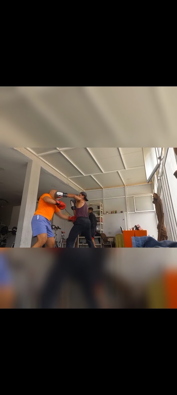 Outdoor BOXING with Otto — photo 3
