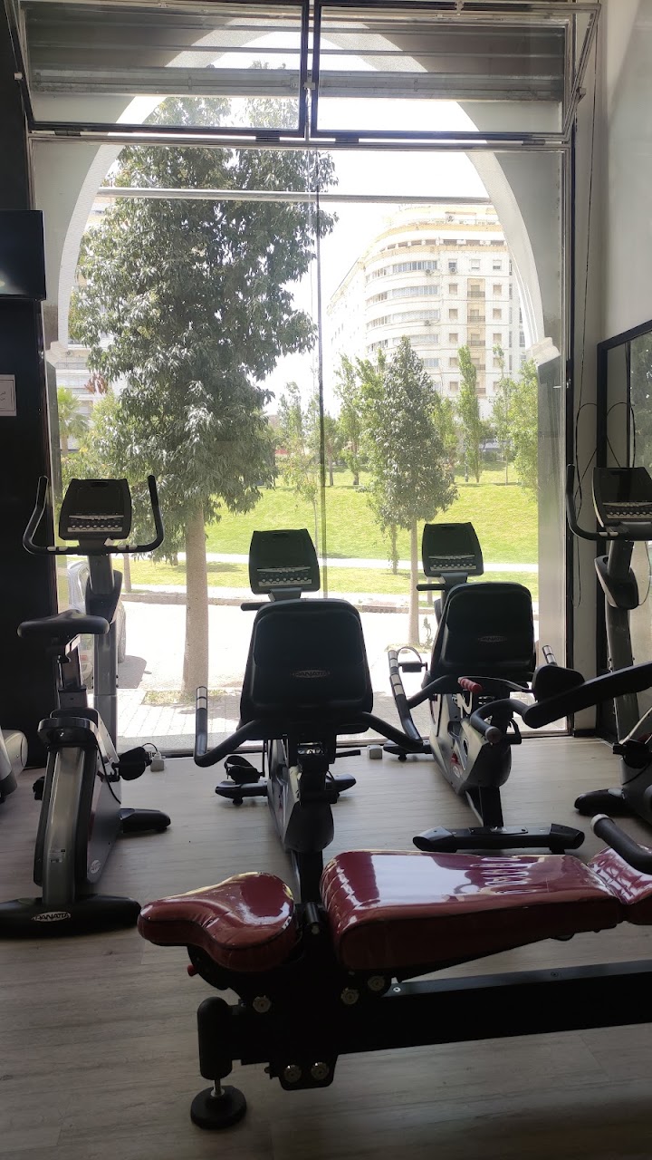 Y GYM — photo 4
