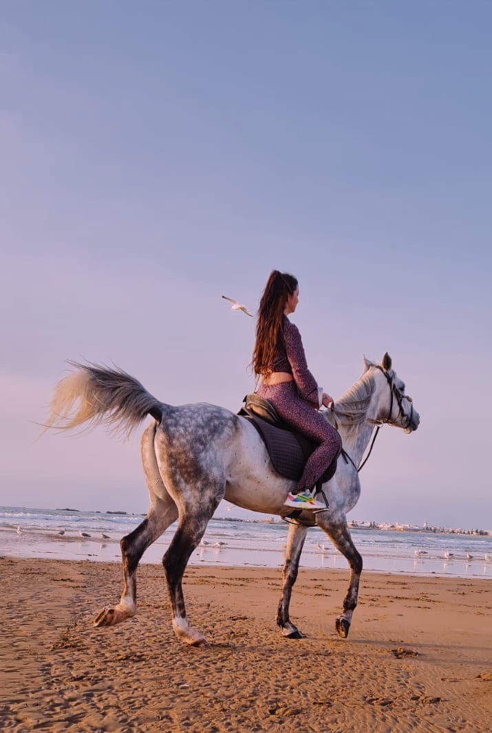 Les Cavaliers D'essaouira