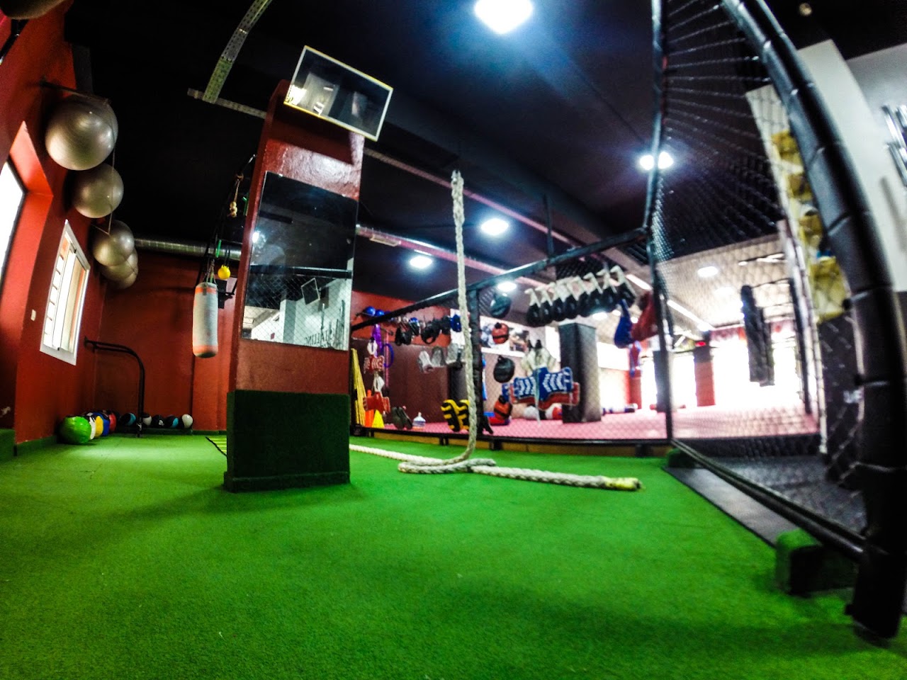 Ultimate Fight Academy — photo 2