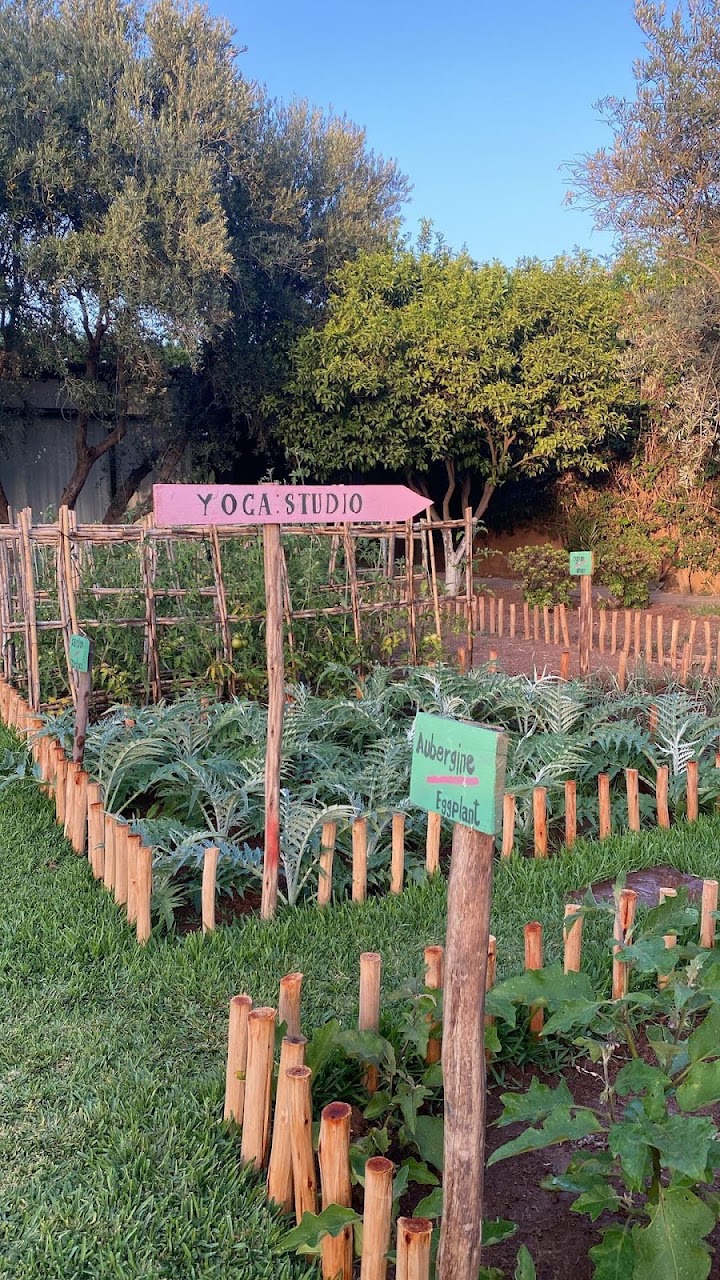 Ifoulki Yoga — photo 2