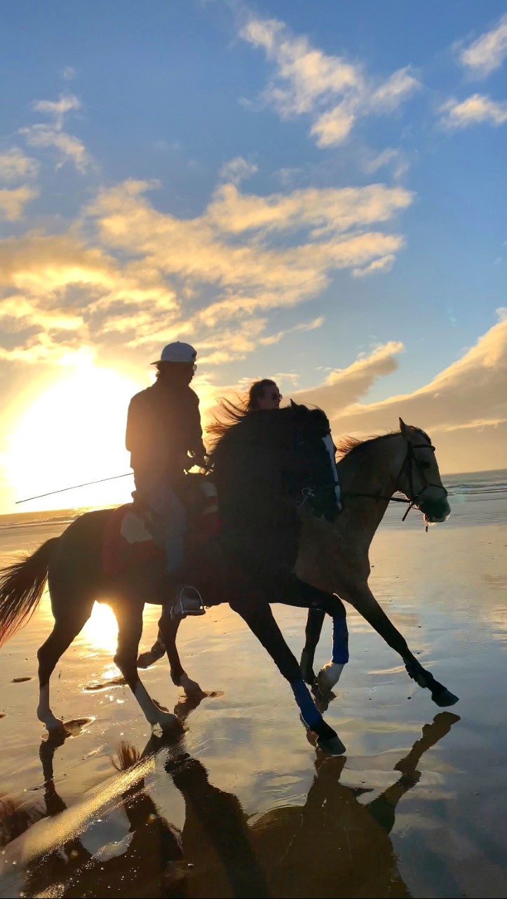 Horse Adventure Essaouira