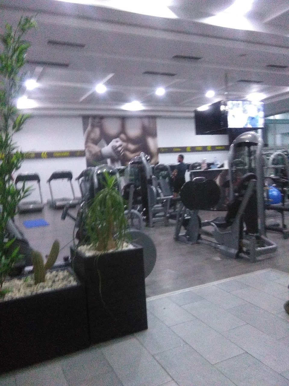 Club Moving — photo 3