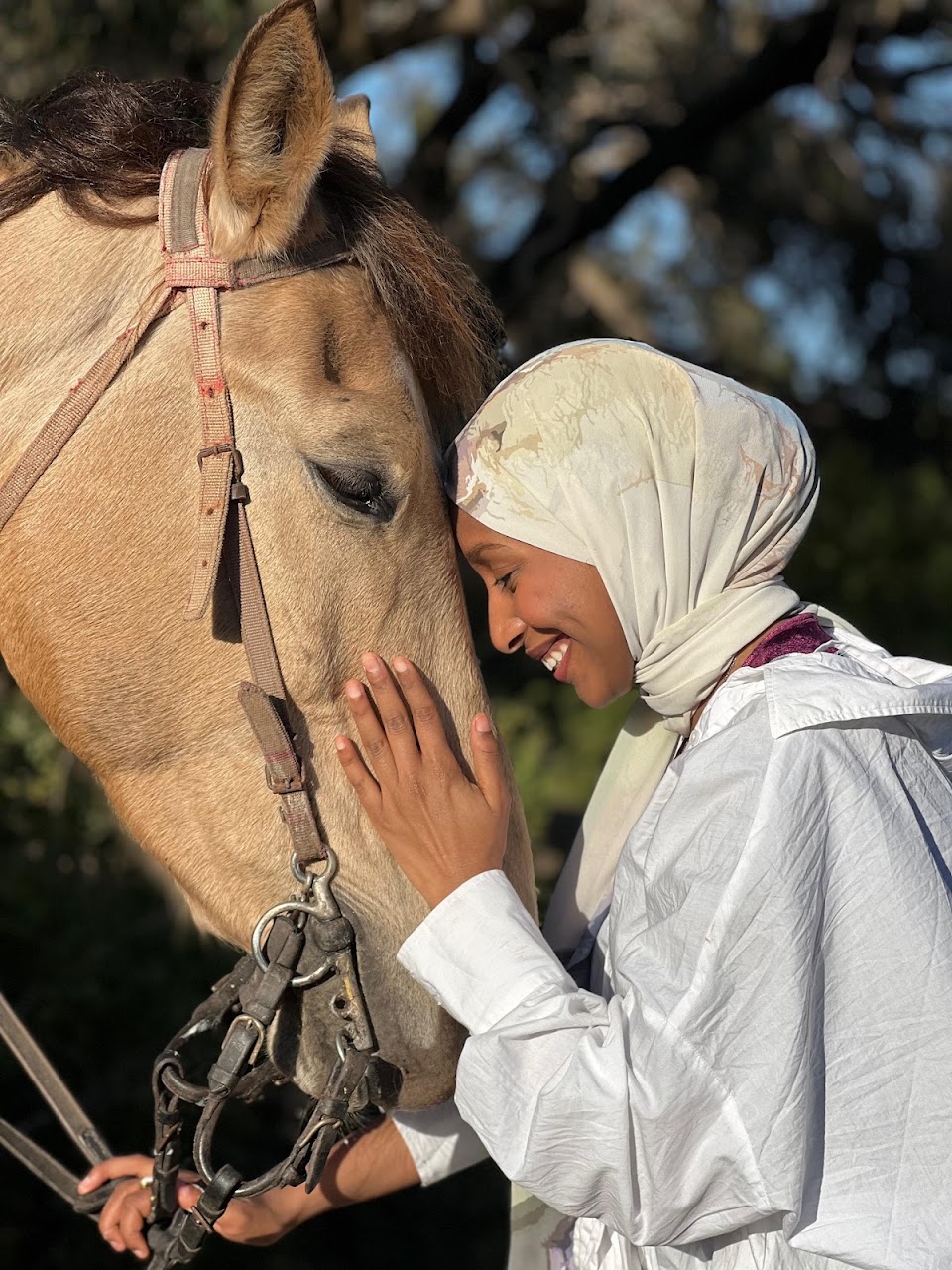 Horse tamaris — photo 4