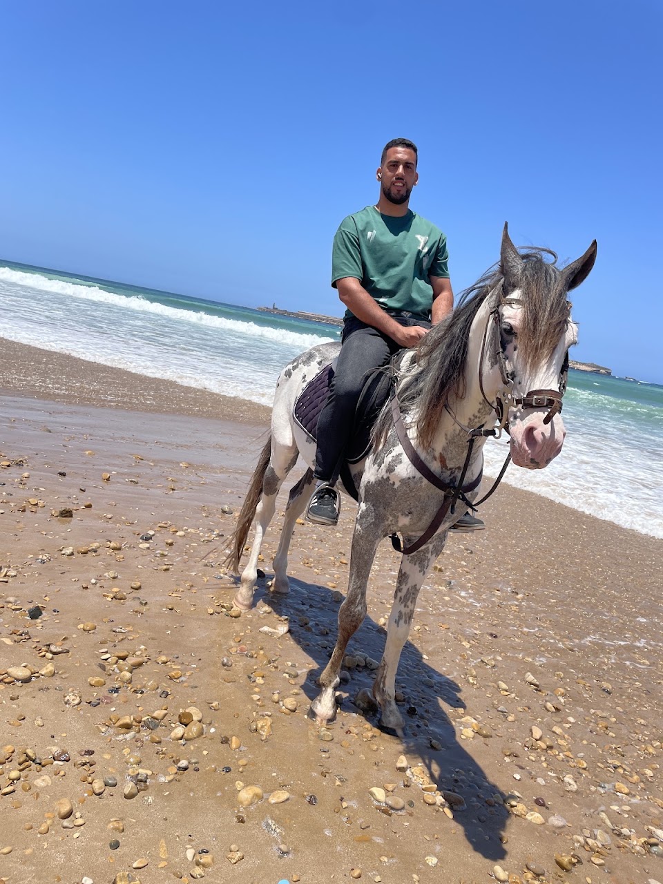Windhorses of Essaouira — photo 3