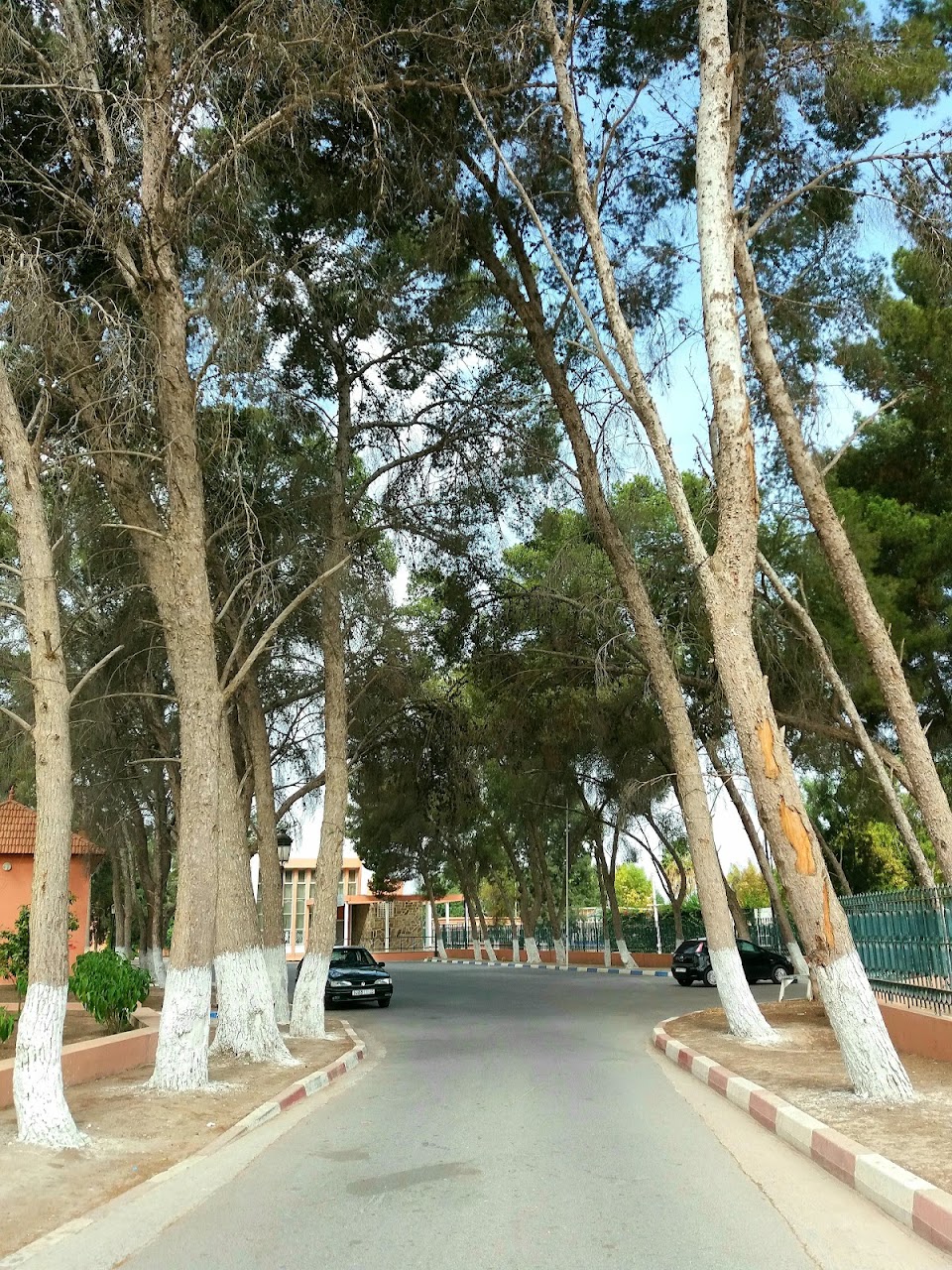 Club Olympique Youssoufia — photo 4