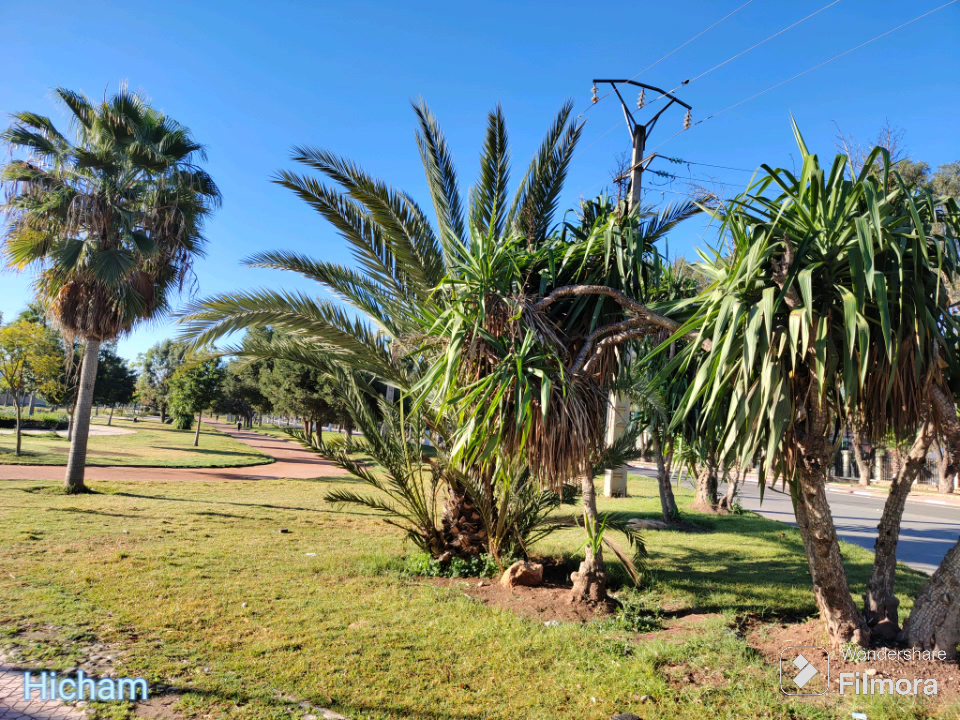 Settat University University Golf Course الغولف الملكي الجامعي — photo 2
