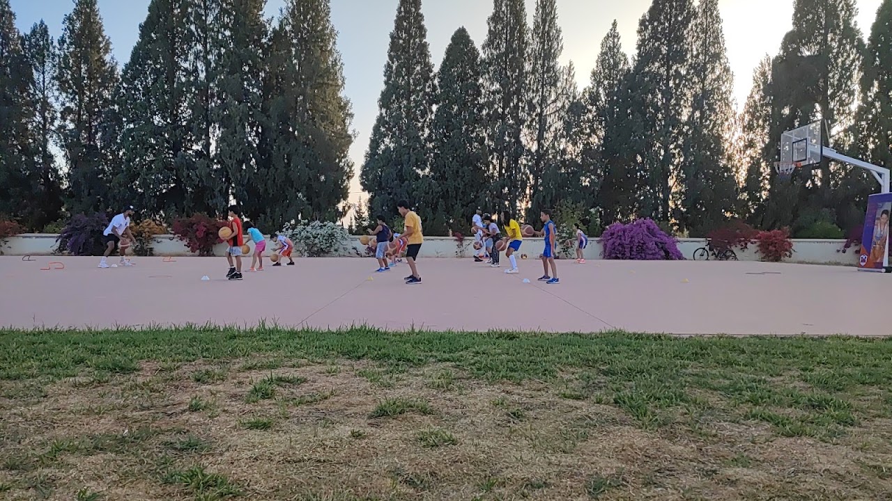 SFCBM Basketball School -B- — photo 2