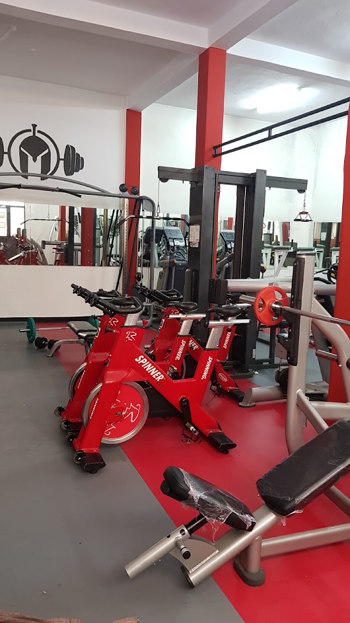 Nietzsche gym