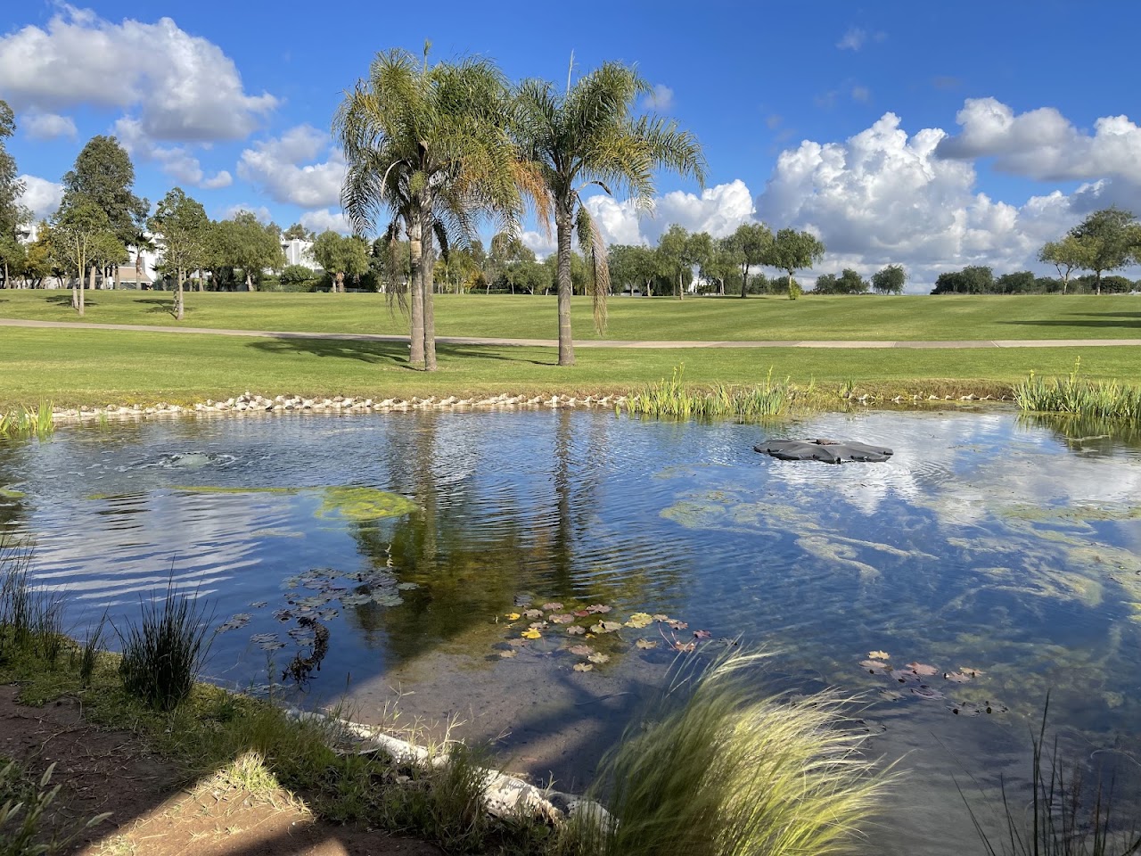 Prestigia golf city
