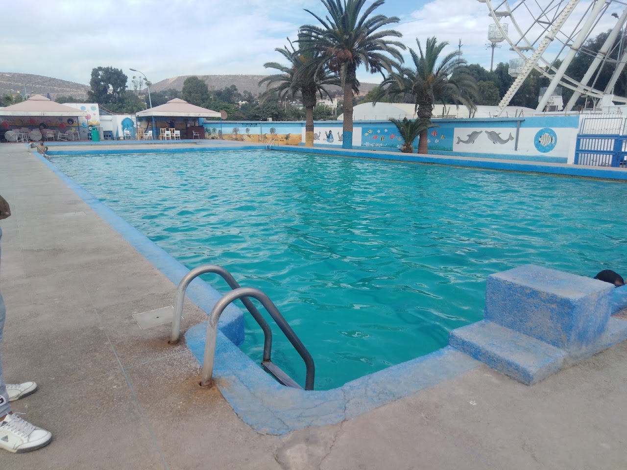 المسبح البلدي — photo 2