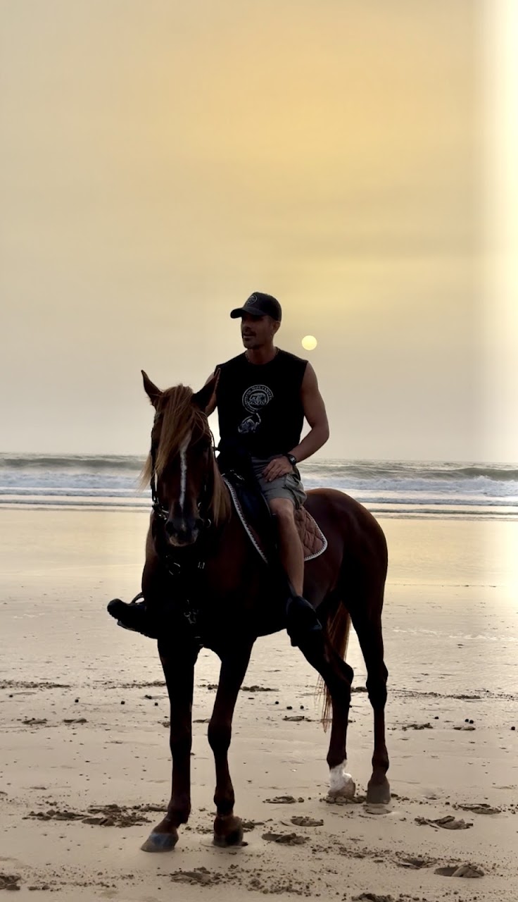 Cheval Kaouki