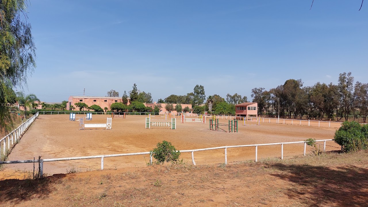Royal Club Equestre Riyad Mohammedia — photo 4