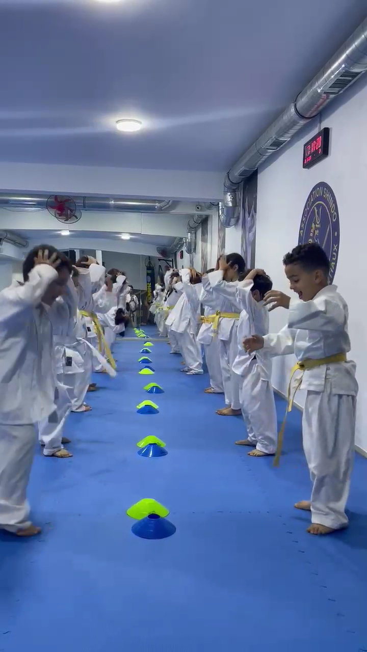 ASSOCIATION SHINDO COACHING &ART MARTIAUX — photo 3