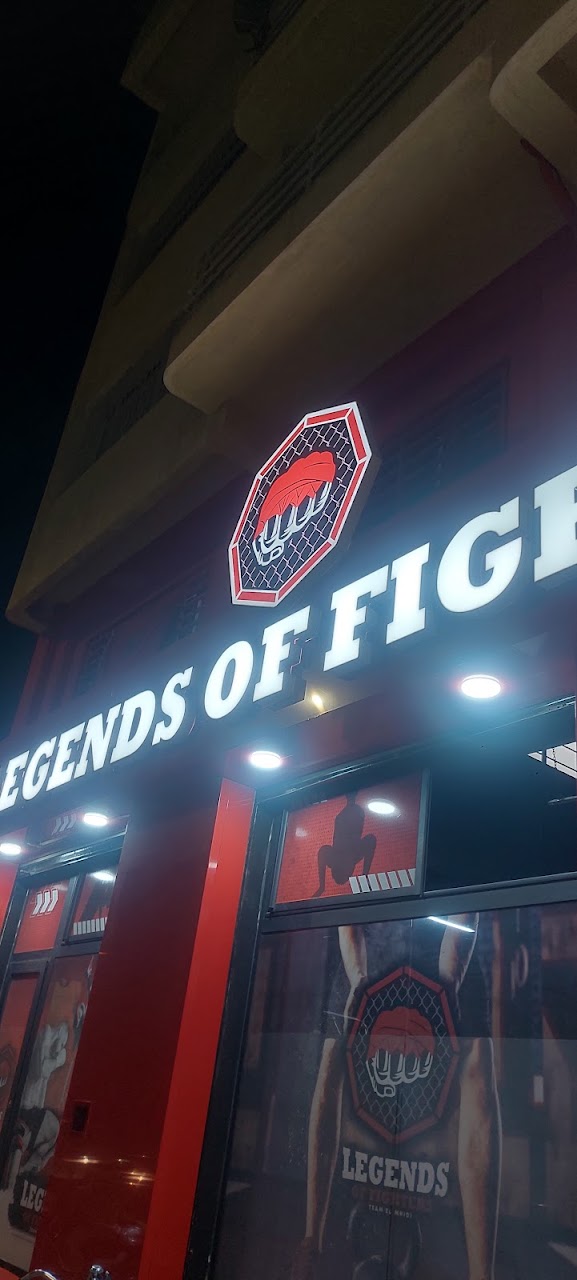 legends of fighters — photo 3
