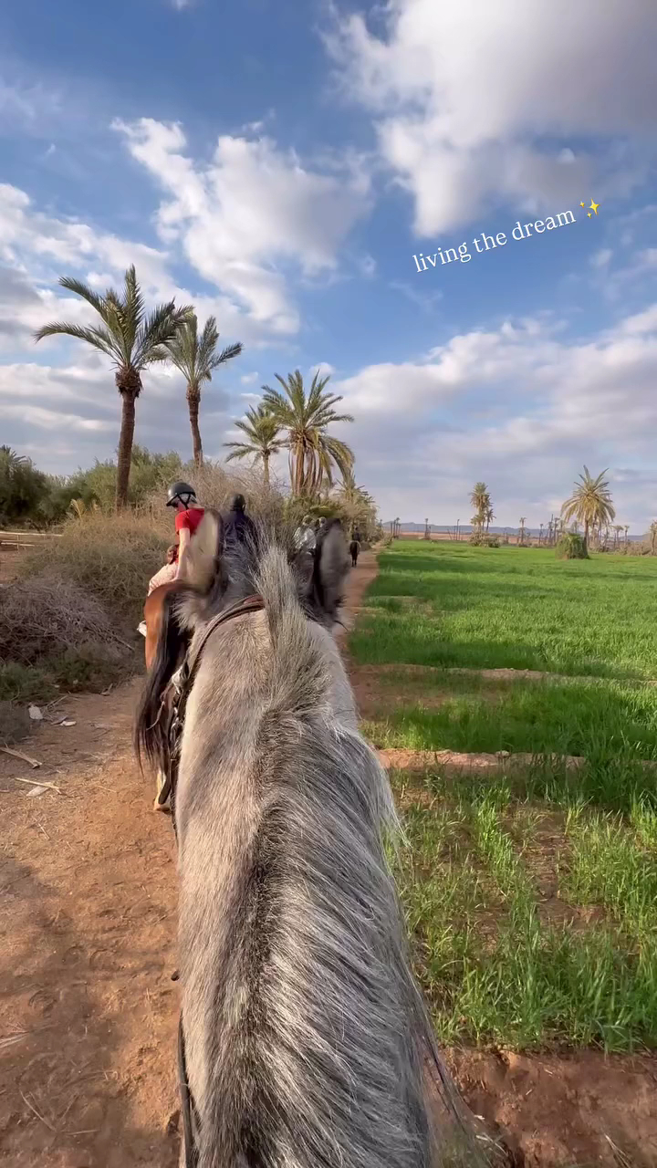 Equitation Cheval Marrakech - Horseback Riding Palmeraie — photo 3