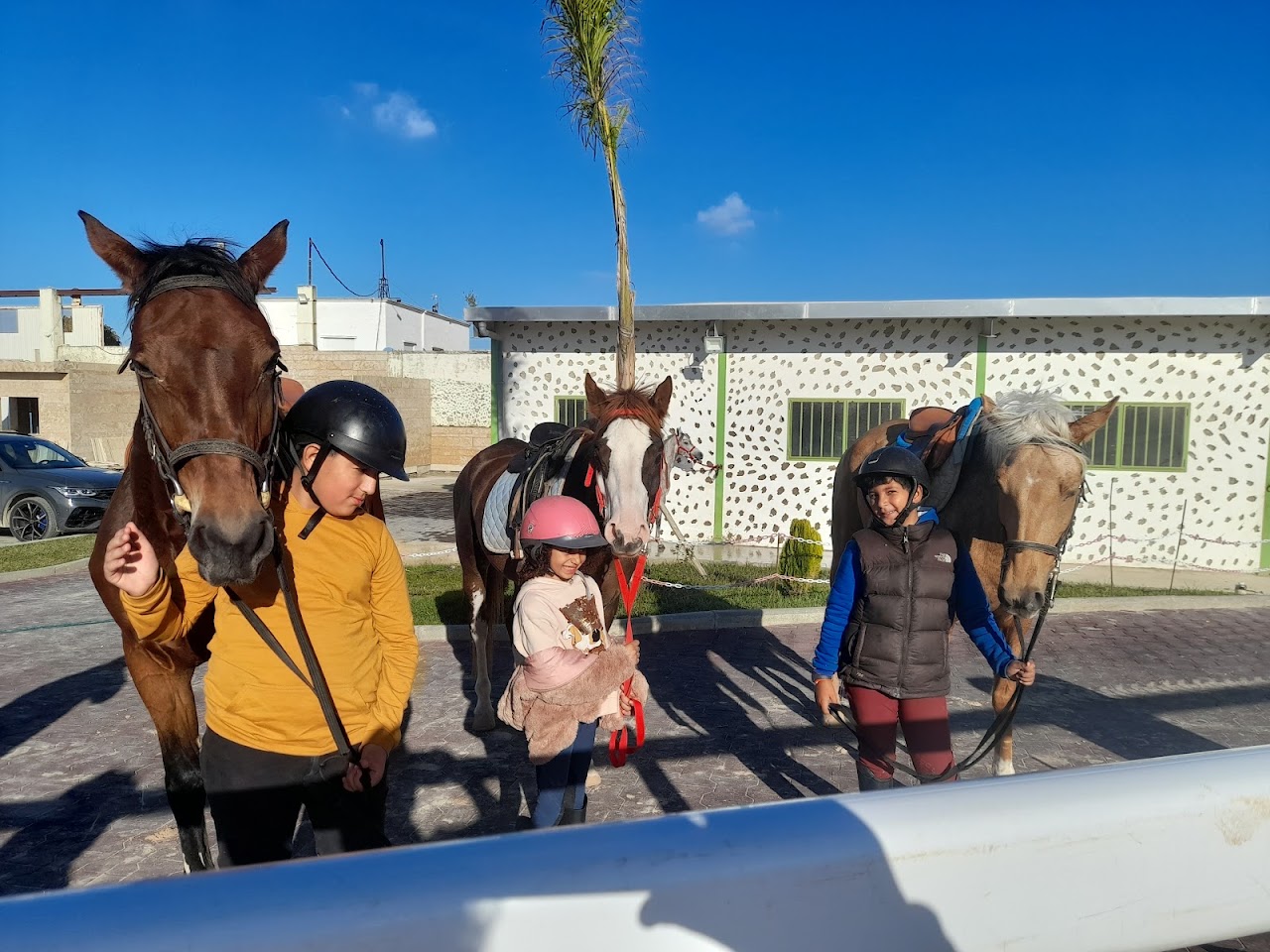 Club JBK Jumping Horses