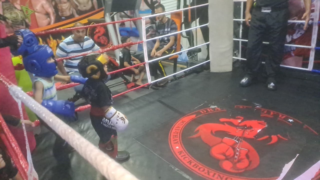 Association Dragon Gym Noua — photo 3