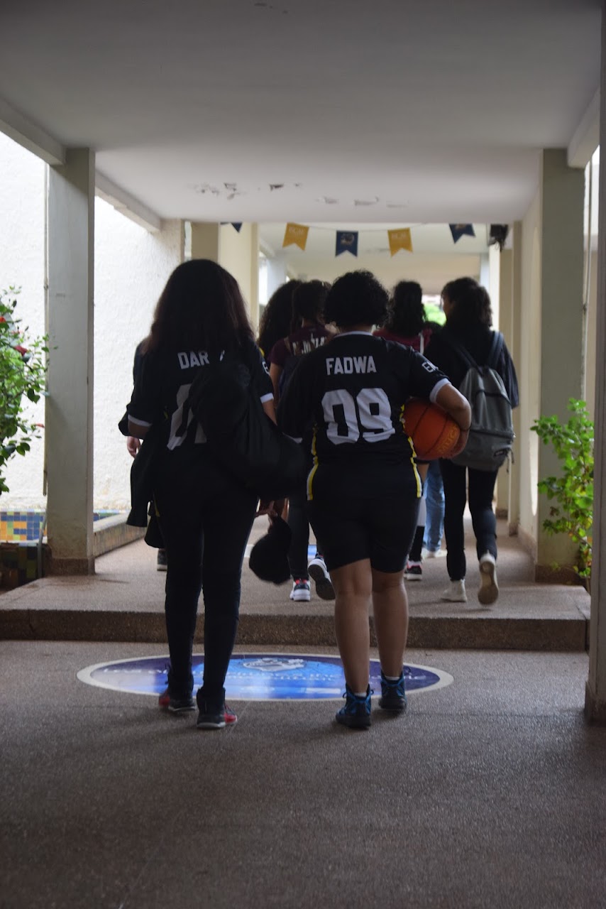 Black panthers Basketball Club — photo 3