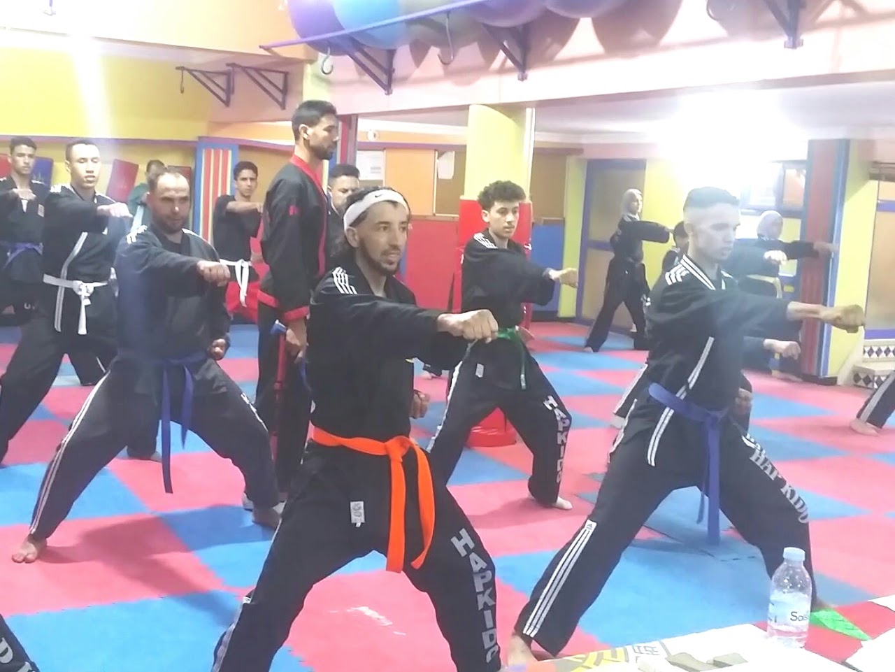 HAPKIDO AJEYAL — photo 2