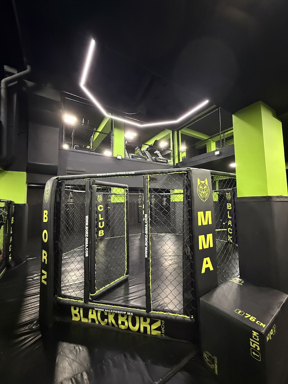 BORZ MMA — photo 2