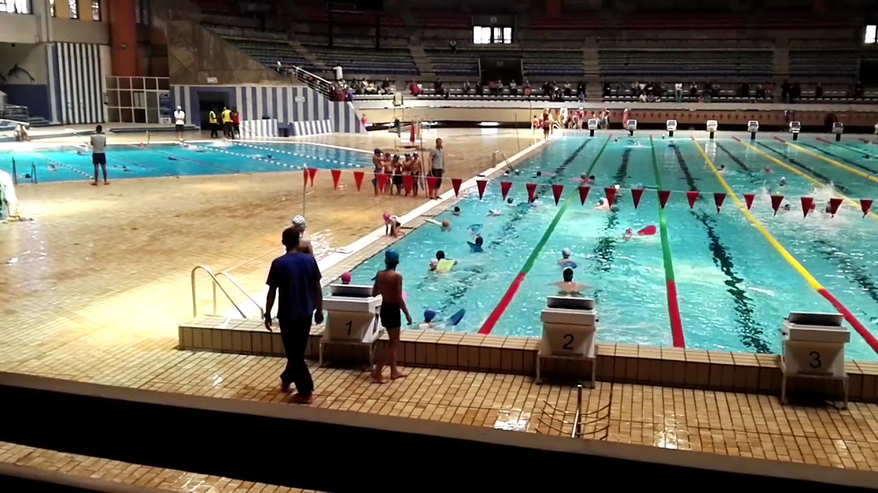 Olympic Pool Med V Complexs — photo 2