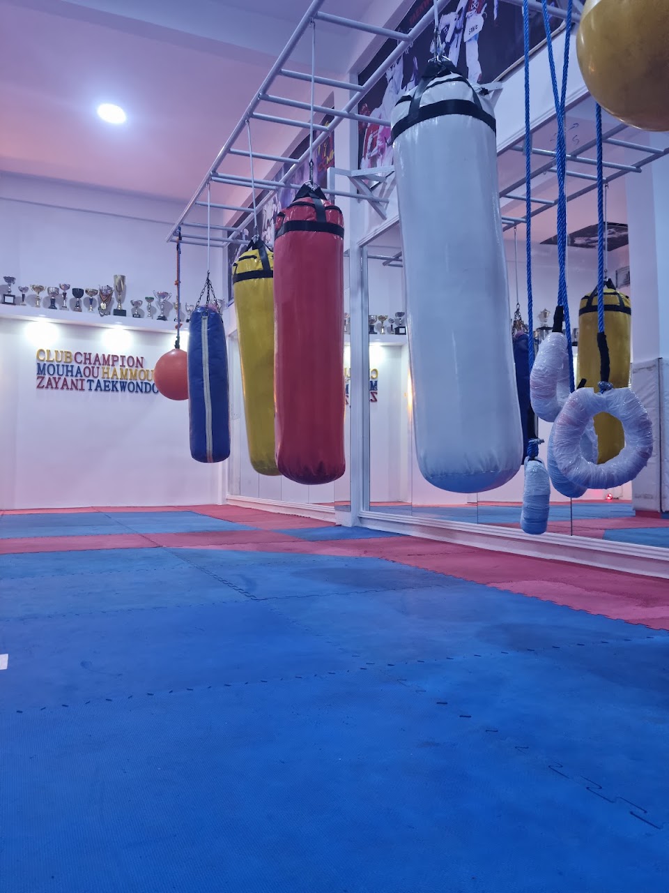 rochdi teakwondo — photo 2