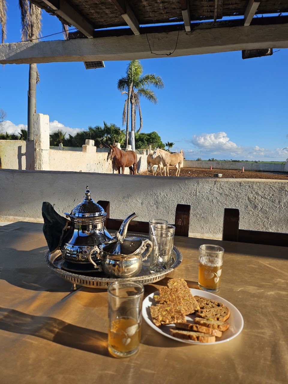 Elaaz horse farm — photo 4
